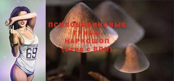 меф Арсеньев