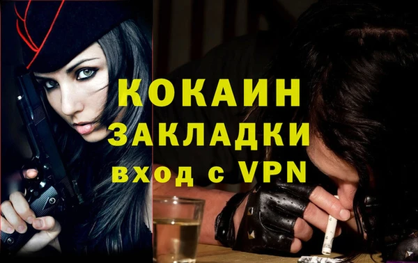 меф Арсеньев