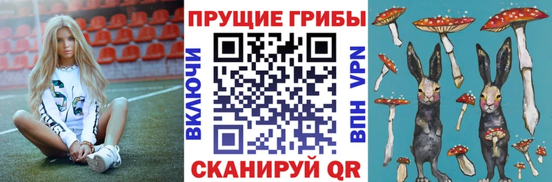 Псилоцибиновые грибы мухоморы  Сенгилей 