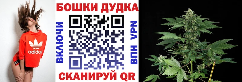 даркнет какой сайт  наркота  Сенгилей  Конопля марихуана  omg  